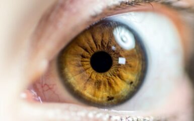 iris recognition biometric identification management