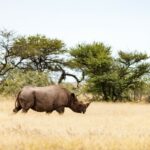 a-south-african-park-adopts-visitor-management-system-for-tourism