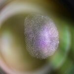 importance-of-fingerprint-identification-in-2019