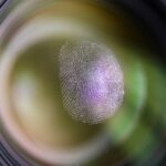 5-Reason-to-Use-Fingerprint-Recognition-Software-for-Secure-Identification