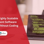 Government Software Solution