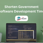 Government Software Development
