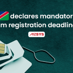 Namibia declares mandatory sim registration
