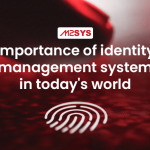 Importance-of-identity-management-system-in-todays-world