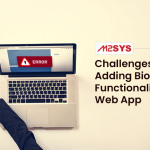 Challenges of Adding Biometric Functionality to Web App