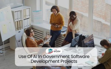 AI In Government Software